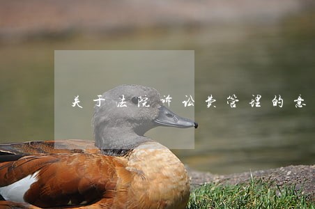 关于法院诉讼费管理的意见建议 关于法院诉讼费管理的意见建议