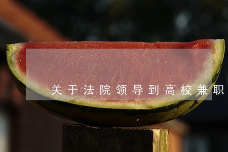 关于法院领导到高校兼职 关于法院领导到高校兼职