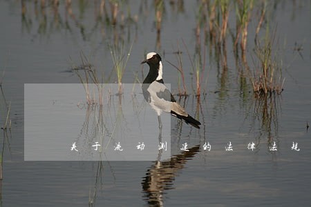 关于流动测速的法律法规 关于流动测速的法律法规