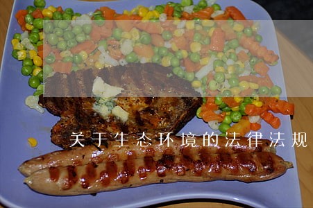 关于生态环境的法律法规 关于生态环境的法律法规