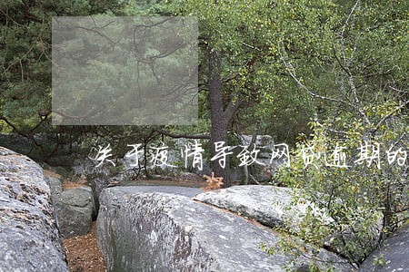 关于疫情导致网贷逾期的参考 关于疫情导致网贷逾期的参考