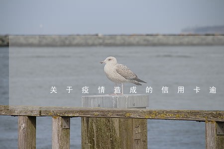 关于疫情造成的信用卡逾期 关于疫情造成的信用卡逾期
