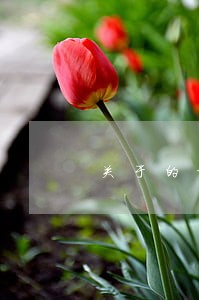 关于的经营者集中法律制度比较 关于的经营者集中法律制度比较