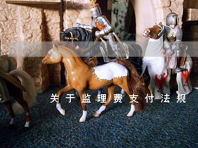 关于监理费支付法规