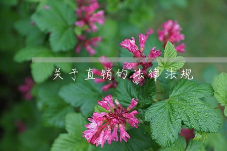 关于直销的法律法规 关于直销的法律法规