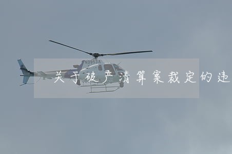 关于破产清算案裁定的违法异议 关于破产清算案裁定的违法异议