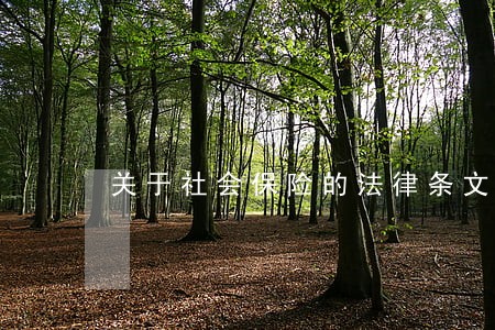 关于社会保险的法律条文