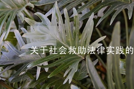 关于社会救助法律实践的思考