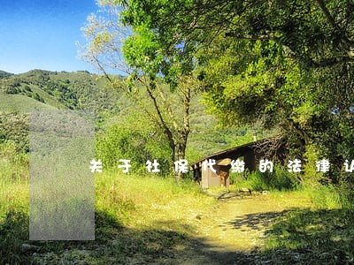 关于社保代缴的法律认定