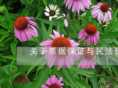 关于票据保证与民法保证的区别