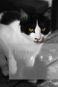 关于禁止酒后开车法规有 关于禁止酒后开车法规有