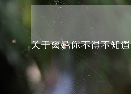 关于离婚你不得不知道的法律 关于离婚你不得不知道的法律
