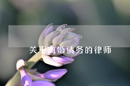 关于离婚债务的律师 关于离婚债务的律师