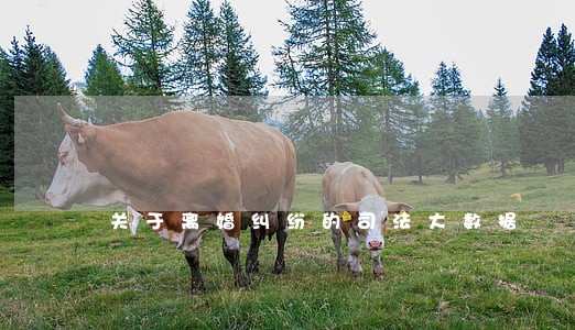 关于离婚纠纷的司法大数据 关于离婚纠纷的司法大数据