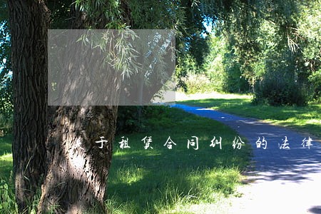 关于租赁合同纠纷的法律意见书