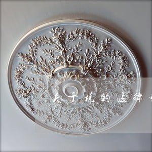 关于税的法律咨询 关于税的法律咨询