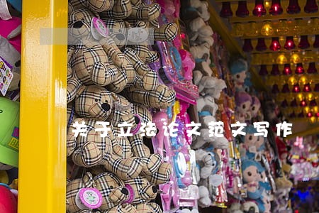 关于立法论文范文写作