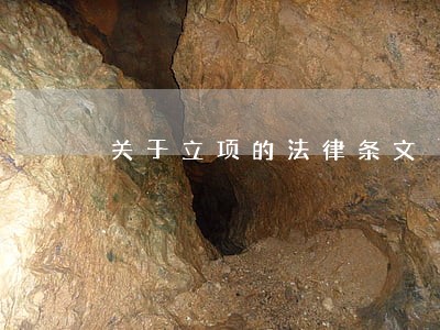 关于立项的法律条文