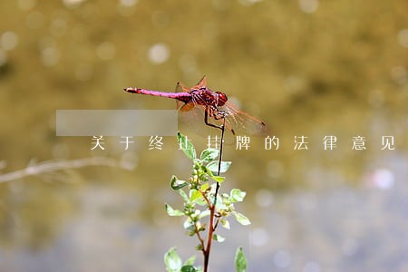 关于终止挂牌的法律意见书 关于终止挂牌的法律意见书