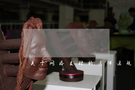 关于网络支付的法律法规 关于网络支付的法律法规