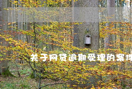 关于网贷逾期受理的案件 关于网贷逾期受理的案件