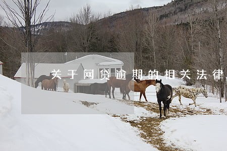 关于网贷逾期的相关法律法规 关于网贷逾期的相关法律法规