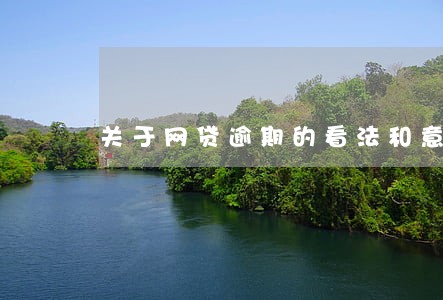 关于网贷逾期的看法和意见 关于网贷逾期的看法和意见