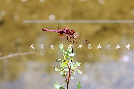 关于网贷逾期算法的法律 关于网贷逾期算法的法律