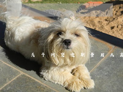关于网贷逾期费用太高 关于网贷逾期费用太高