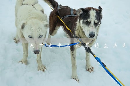 关于老年人犯罪的立法建议 关于老年人犯罪的立法建议