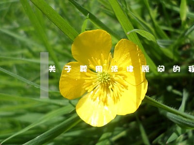 关于聘用法律顾问的程序 关于聘用法律顾问的程序