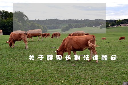 关于聘用长期法律顾问