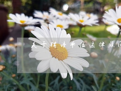 关于聘请单位法律顾问 关于聘请单位法律顾问