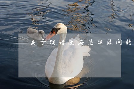 关于聘请政府法律顾问的请示 关于聘请政府法律顾问的请示