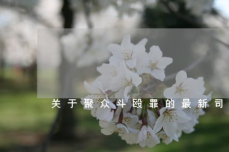 关于聚众斗殴罪的最新司法解释 关于聚众斗殴罪的最新司法解释