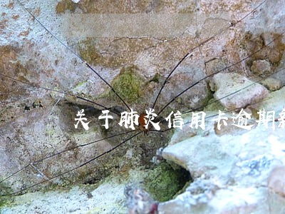 关于肺炎信用卡逾期新规定 关于肺炎信用卡逾期新规定