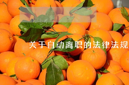 关于自动离职的法律法规 关于自动离职的法律法规