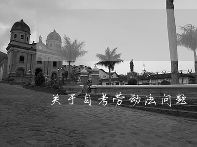 关于自考劳动法问题