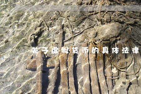 关于虚拟货币的具体法律条文 关于虚拟货币的具体法律条文