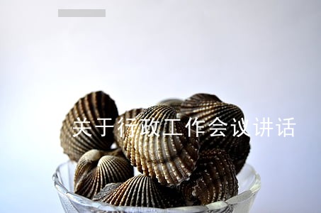 关于行政工作会议讲话