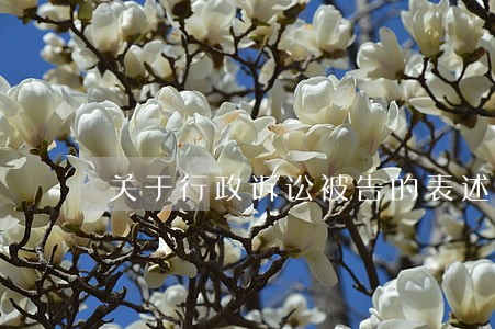 关于行政诉讼被告的表述
