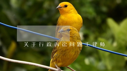 关于行政诉讼问题王律师 关于行政诉讼问题王律师
