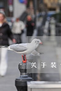 关于装修的公司名字 关于装修的公司名字