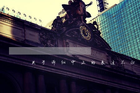 关于诉讼中止的表述不正确的是