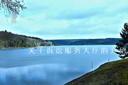 关于诉讼服务大厅的介绍