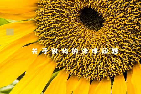 关于财物的法律问题 关于财物的法律问题