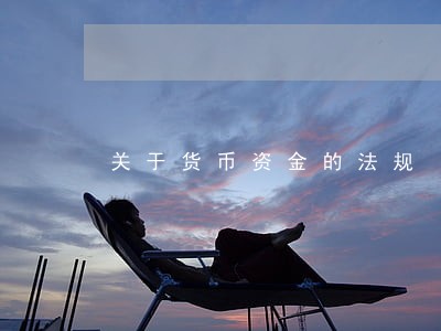 关于货币资金的法规 关于货币资金的法规