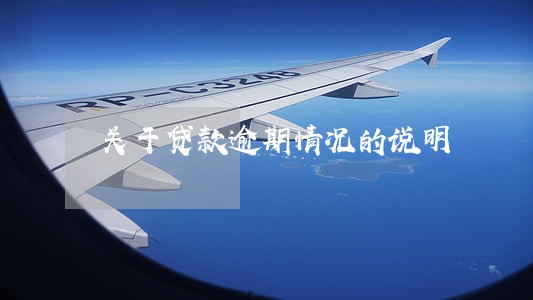 关于贷款逾期情况的说明 关于贷款逾期情况的说明