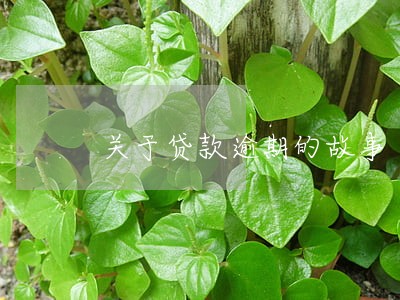 关于贷款逾期的故事 关于贷款逾期的故事