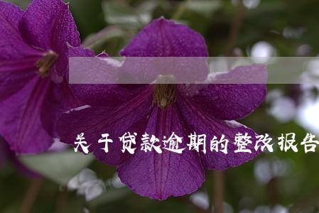 关于贷款逾期的整改报告 关于贷款逾期的整改报告